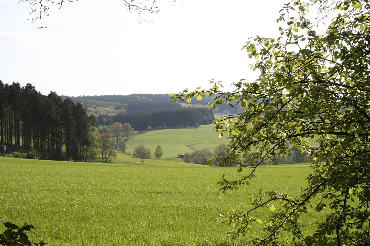 Hotel-Restaurant Haus Berkenbaum Kierspe Zewnętrze zdjęcie